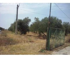 Parcela en Venta en Bollullos de la Mitación, Sevilla