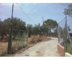 Parcela en Venta en Bollullos de la Mitación, Sevilla