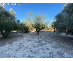 Venta nave industrial en Ontinyent