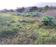Parcela rústica de 11,319 m² cerca de Albaida con agua de riego y vistas a la montaña