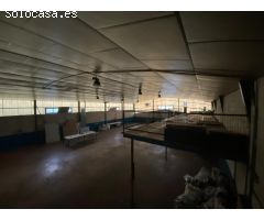 nave industrial en benissoda