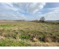 Lote de 3 terrenos (huerto) en montaverner