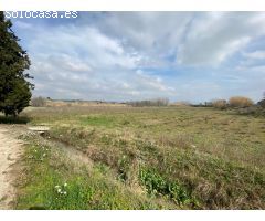 Lote de 3 terrenos (huerto) en montaverner