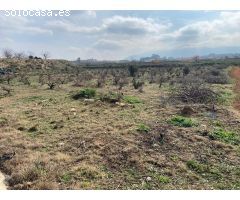 terreno de secano en montaverner