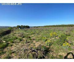 Venta parcela de viña en Montaverner-Valencia