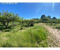 Venta Finca rustica en El Palomar