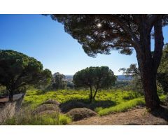 Parcela en venta en la urbanización de Puig Romaní de Platja dAro con vistas al mar y a la Vall dAro