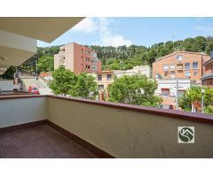 PISO DE 1 HAB. TOTALMENTE REFORMADO  EN ZONA RESIDENCIAL