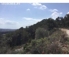 GRAN TERRENO rustico CON DIFERENTES PARCELAS
