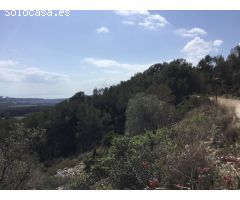 GRAN TERRENO rustico CON DIFERENTES PARCELAS