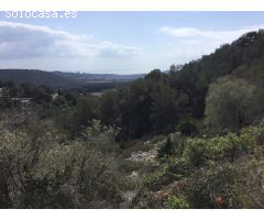 GRAN TERRENO rustico CON DIFERENTES PARCELAS