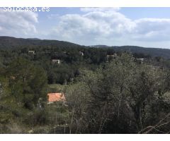 GRAN TERRENO rustico CON DIFERENTES PARCELAS