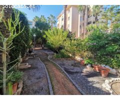 ???? APARTAMENTO EN ALBIR 3 HABITACIONES 275.000€????
