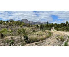 ???? ¡Terreno rústico plano de 4.000 m² en La Nucía 55.000€! ????