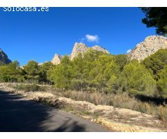 ???? Se vende terreno rústico en Polop 65.000€