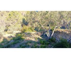 Terreno en Bolulla camino a Tarbena 9000m²???? Precio: 40,000 €