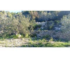 Terreno en Bolulla camino a Tarbena 9000m²???? Precio: 40,000 €