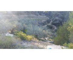 Terreno en Bolulla camino a Tarbena 9000m²???? Precio: 40,000 €