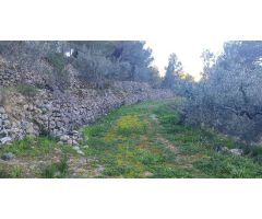 Terreno en Bolulla camino a Tarbena 9000m²???? Precio: 40,000 €
