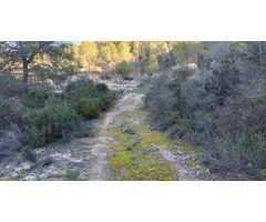 Terreno en Bolulla camino a Tarbena 9000m²???? Precio: 40,000 €
