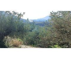 Terreno en Bolulla dividido en dos bancales 450m2 con toma de agua 7.000€????