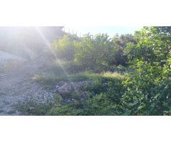 Terreno en Callosa d´en Sarriá de 7000m2 con balsa de riego ????  35.000€
