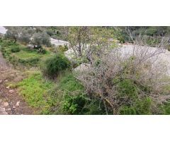 Terreno en La Nucía de 450 m² ???? Con árboles de limoneros, naranjos y mandarineros 25.000€