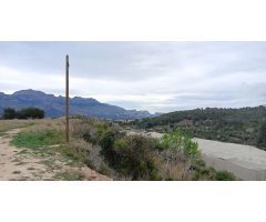 Terreno en La Nucía de 450 m² ???? Con árboles de limoneros, naranjos y mandarineros 25.000€