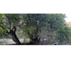 Terreno de 1000m2 en Beniarda! ???? 32.000€