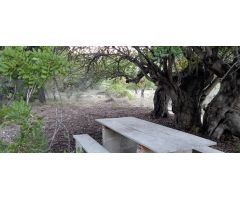 Terreno de 1000m2 en Beniarda! ???? 32.000€