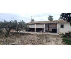 CASA DE CAMPO A 8 MINUTOS DE ELCHE