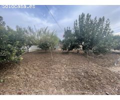 TERRENO EN LLANO DE BRUJAS