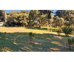 PARCELA URB LOS ARROYOS EL ESCORIAL 3150 M2
