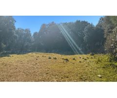 PARCELA URB LOS ARROYOS EL ESCORIAL 3150 M2