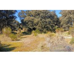 PARCELA URB LOS ARROYOS EL ESCORIAL 3150 M2
