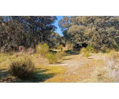 PARCELA URB LOS ARROYOS EL ESCORIAL 3150 M2