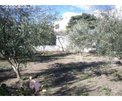 MAGNIFICO CORTIJO SEMINUEVO CON MIL METROS DE TERRENO A LA VENTA EN LAUJAR DE ANDARAX.