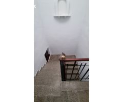 Venta de casa reformada en Calatorao