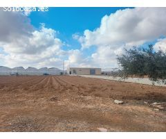 Finca  Rustica con terreno y piscina privada en San Javier