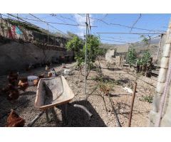 Terreno con construcción a reformar e invernaderos en Arico Viejo