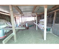 Terreno con construcción a reformar e invernaderos en Arico Viejo