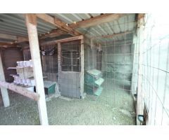 Terreno con construcción a reformar e invernaderos en Arico Viejo