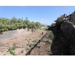 Terreno con construcción a reformar e invernaderos en Arico Viejo
