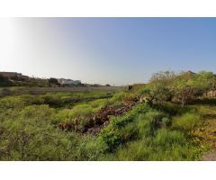 Almacén de 200 m2 con invernaderos y tanque de agua, terreno rústico con excelentes accesos en Arona
