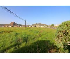 Almacén de 200 m2 con invernaderos y tanque de agua, terreno rústico con excelentes accesos en Arona