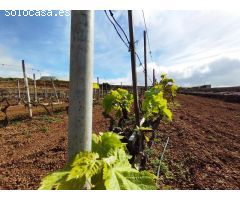 Finca con producción de vino con lagar en el Río de Arico