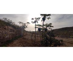 Terreno rústico con cuevas, tanque de agua y cultivo en Chimiche, Granadilla de Abona.