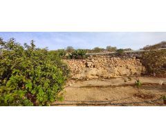 Terreno rústico con cuevas, tanque de agua y cultivo en Chimiche, Granadilla de Abona.