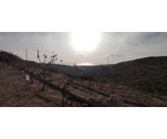Terreno rústico con cuevas, tanque de agua y cultivo en Chimiche, Granadilla de Abona.