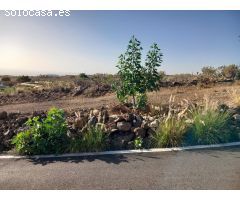 Asentamiento rural en Charco del Pino, Granadilla de Abona